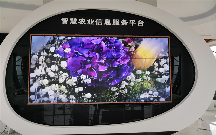 深圳云顶集团智能视讯科技有限公司